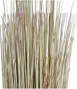 Decoratieve plant DKD Home Decor 25 x 25 x 68 cm Bruin Polyethyleen Groen (2 Stuks)
