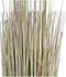 Decoratieve plant DKD Home Decor 25 x 25 x 68 cm Bruin Polyethyleen Groen (2 Stuks)