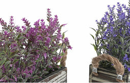 Decoratieve plant DKD Home Decor 30 x 12 x 21 cm Hout Lila Polyethyleen Fuchsia (2 Stuks)