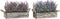 Decoratieve plant DKD Home Decor 30 x 12 x 21 cm Hout Lila Polyethyleen Fuchsia (2 Stuks)