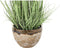 Decoratieve plant DKD Home Decor 30 x 30 x 78 cm Roze Metaal Lila Groen PVC (2 Stuks)