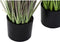 Decoratieve plant DKD Home Decor 40 x 40 x 150 cm Roze Lila Polyethyleen PVC (2 Stuks)