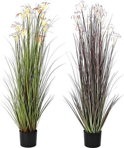 Decoratieve plant DKD Home Decor 45 x 45 x 140 cm Metaal Oranje Groen Bordeaux PVC (2 Stuks)