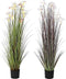 Decoratieve plant DKD Home Decor 45 x 45 x 140 cm Metaal Oranje Groen Bordeaux PVC (2 Stuks)