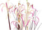 Decoratieve plant DKD Home Decor 45 x 45 x 140 cm Metaal Oranje Groen Bordeaux PVC (2 Stuks)