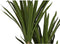 Decoratieve plant DKD Home Decor (80 x 80 x 180 cm)