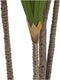 Decoratieve plant DKD Home Decor (80 x 80 x 180 cm)