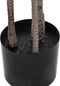 Decoratieve plant DKD Home Decor (80 x 80 x 180 cm)
