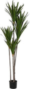 Decoratieve plant DKD Home Decor (80 x 80 x 180 cm)