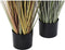 Decoratieve plant DKD Home Decor Bruin Polyethyleen Groen PVC 40 x 40 x 120 cm (2 Stuks)