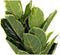 Decoratieve plant DKD Home Decor Groen PE (40 x 40 x 120 cm)