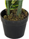 Decoratieve plant DKD Home Decor Groen PE (40 x 40 x 120 cm)