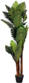 Decoratieve plant DKD Home Decor Groen PE (40 x 40 x 150 cm)