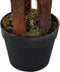 Decoratieve plant DKD Home Decor Groen PE (40 x 40 x 150 cm)