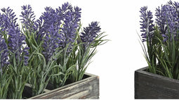 Decoratieve plant DKD Home Decor Hout Polyethyleen 32 x 14 x 19,5 cm (2 Stuks)