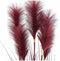 Decoratieve plant DKD Home Decor Kubus 30 x 30 x 106 cm Oranje Polyethyleen Bordeaux Blik (2 Stuks)