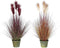 Decoratieve plant DKD Home Decor Kubus 30 x 30 x 106 cm Oranje Polyethyleen Bordeaux Blik (2 Stuks)