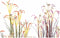 Decoratieve plant DKD Home Decor Metaal Oranje Groen Bordeaux PVC 35 x 35 x 114 cm (2 Stuks)