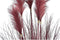 Decoratieve plant DKD Home Decor Oranje Polyethyleen Bordeaux Blik 20 x 20 x 90 cm (2 Stuks)