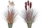 Decoratieve plant DKD Home Decor Oranje Polyethyleen Bordeaux Blik 20 x 20 x 90 cm (2 Stuks)