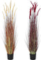 Decoratieve plant DKD Home Decor Oranje Polyethyleen Bordeaux PVC 30 x 30 x 150 cm (2 Stuks)