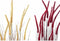 Decoratieve plant DKD Home Decor Oranje Polyethyleen Bordeaux PVC 30 x 30 x 150 cm (2 Stuks)
