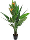 Decoratieve plant DKD Home Decor PVC Plastic 100 x 100 x 145 cm