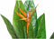 Decoratieve plant DKD Home Decor PVC Plastic 100 x 100 x 145 cm