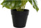 Decoratieve plant DKD Home Decor PVC Polypropyleen 20 x 20 x 30 cm