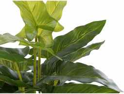 Decoratieve plant DKD Home Decor PVC Polypropyleen 25 x 25 x 30 cm
