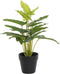 Decoratieve plant DKD Home Decor PVC Polypropyleen 25 x 25 x 30 cm