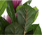 Decoratieve plant DKD Home Decor Roze Groen PE (60 x 60 x 125 cm)