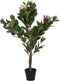Decoratieve plant DKD Home Decor Roze Groen PE (60 x 60 x 125 cm)