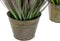 Decoratieve plant DKD Home Decor Roze Metaal Geel PVC (30 x 30 x 78 cm) (2 Stuks)