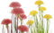 Decoratieve plant DKD Home Decor Roze Metaal Geel PVC (30 x 30 x 78 cm) (2 Stuks)