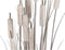 Decoratieve plant DKD Home Decor Russen (35 x 35 x 120 cm)