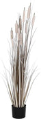 Decoratieve plant DKD Home Decor Russen (35 x 35 x 120 cm)