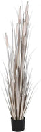 Decoratieve plant DKD Home Decor Russen (45 x 45 x 150 cm)