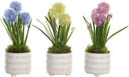 Decoratieve plant DKD Home Decor Schuim Blauw Roze Geel Polypropyleen 15 x 15 x 30 cm (3 Onderdelen)