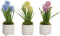 Decoratieve plant DKD Home Decor Schuim Blauw Roze Geel Polypropyleen 15 x 15 x 30 cm (3 Onderdelen)
