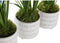 Decoratieve plant DKD Home Decor Schuim Blauw Roze Geel Polypropyleen 15 x 15 x 30 cm (3 Onderdelen)