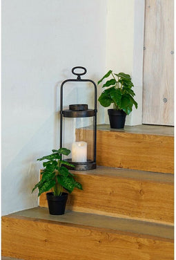Decoratieve plant DKD Home Decor Zwart Groen PVC PP (20 x 20 x 30 cm)