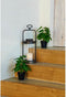 Decoratieve plant DKD Home Decor Zwart Groen PVC PP (20 x 20 x 30 cm)