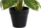 Decoratieve plant DKD Home Decor Zwart Groen PVC PP (20 x 20 x 30 cm)