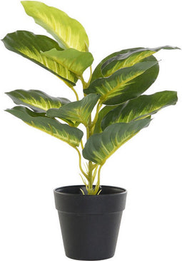 Decoratieve plant DKD Home Decor Zwart Groen PVC PP (25 x 25 x 30 cm)