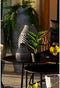 Decoratieve plant DKD Home Decor Zwart Groen PVC PP (25 x 25 x 30 cm)