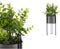 Decoratieve plant Eucalyptus Metaal Plastic 14 x 40 x 14 cm (8 Stuks)