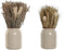 Decoratieve plant Home ESPRIT Bloem 13 x 13 x 25 cm (2 Stuks) (12 Stuks)
