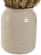 Decoratieve plant Home ESPRIT Bloem 13 x 13 x 25 cm (2 Stuks) (12 Stuks)