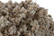 Decoratieve plant Home ESPRIT Bloem 22 x 22 x 14 cm (2 Stuks)